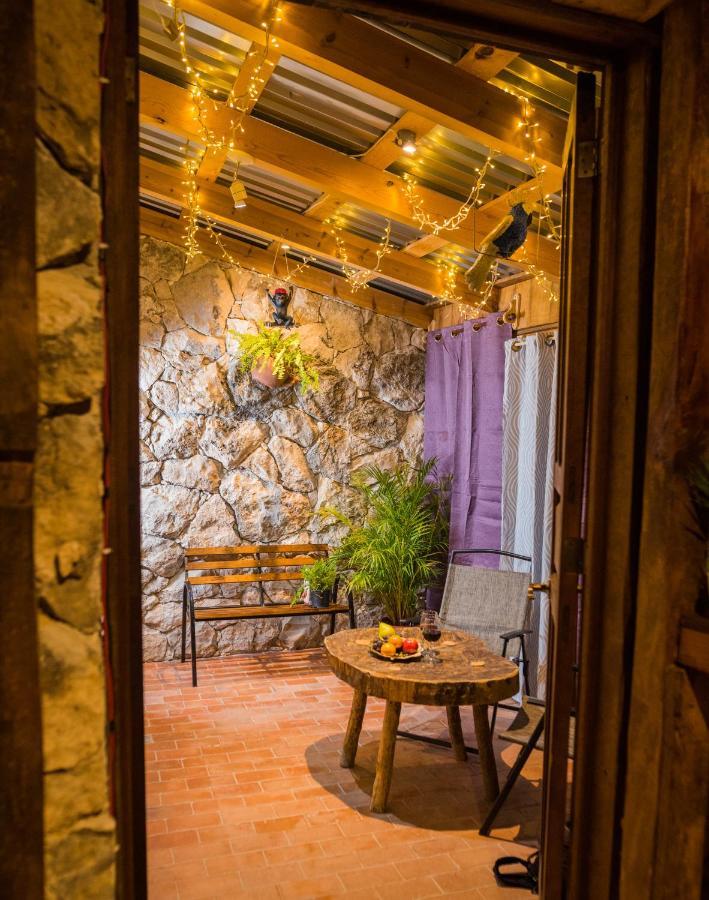 Hotel Colibri Pozos  Dış mekan fotoğraf