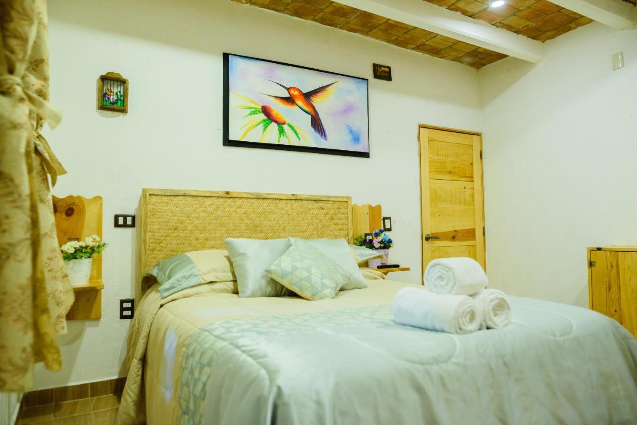 Hotel Colibri Pozos  Dış mekan fotoğraf