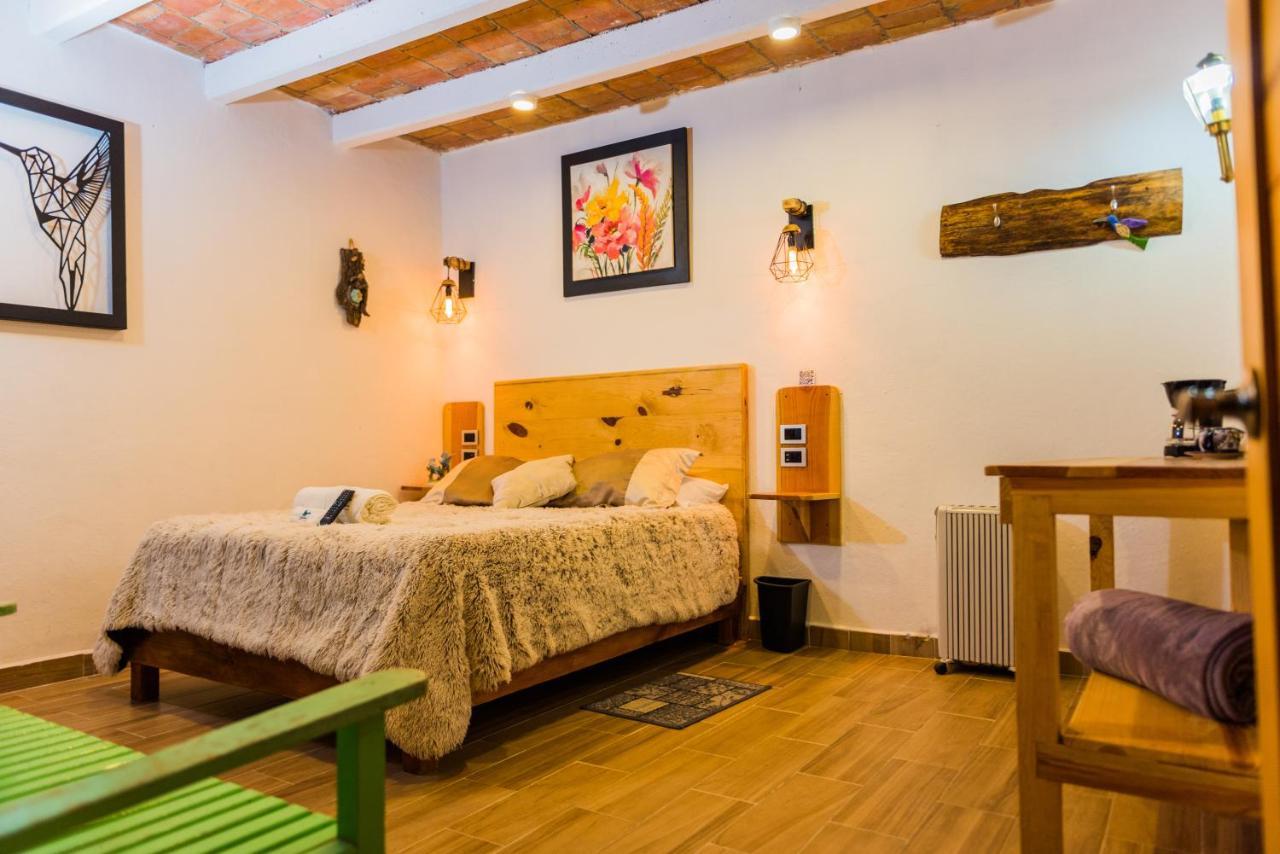 Hotel Colibri Pozos  Dış mekan fotoğraf