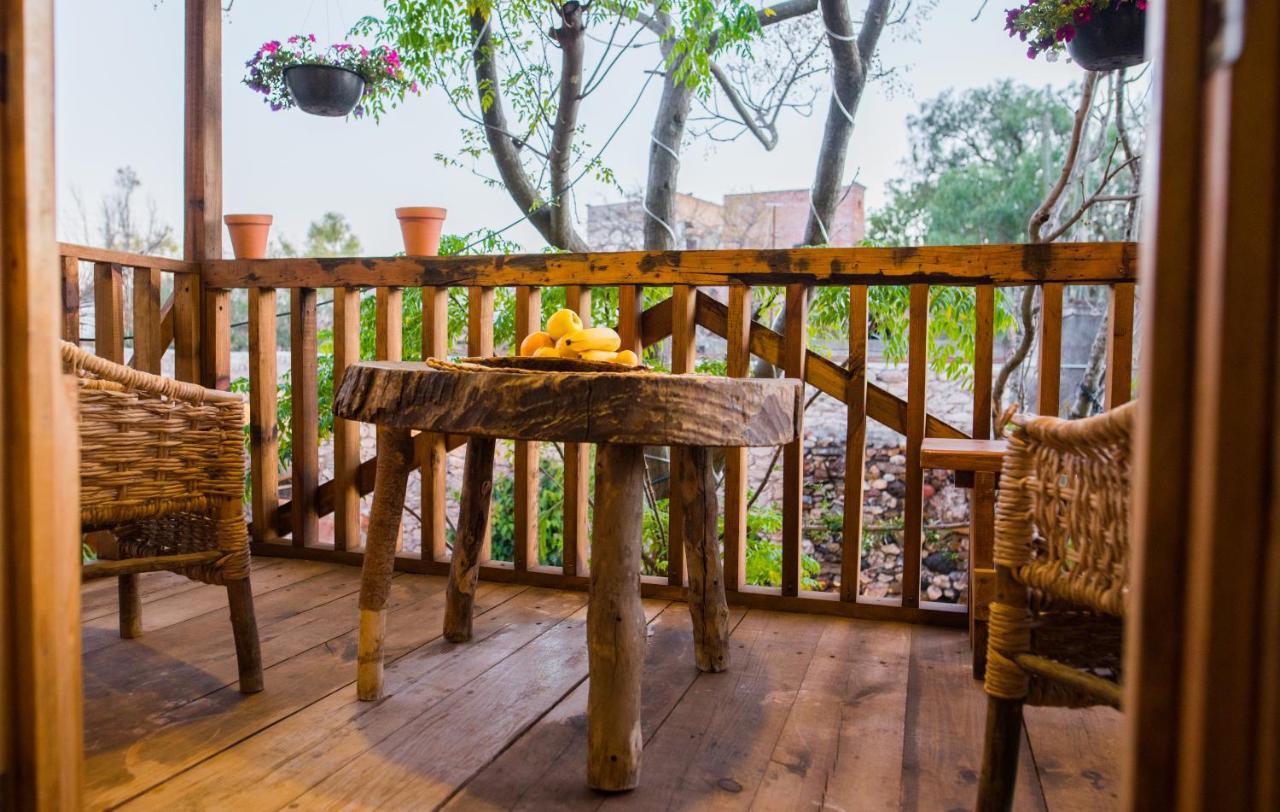 Hotel Colibri Pozos  Dış mekan fotoğraf