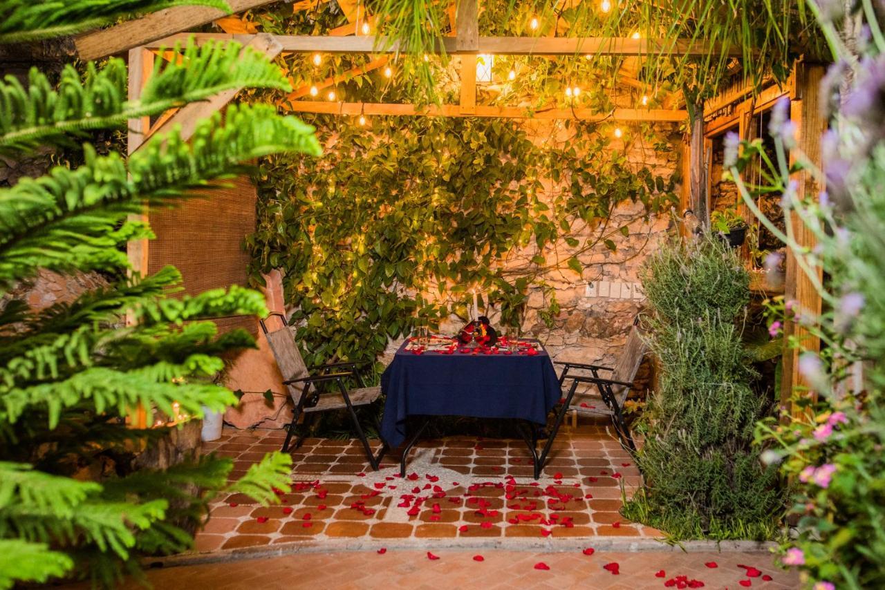 Hotel Colibri Pozos  Dış mekan fotoğraf